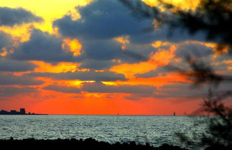 CASA CAVORA - Villa Petunie - Foto 6