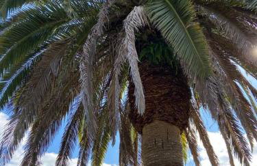 Swimming, Boating, Fishing on Gulf & Heated pool - Foto 49