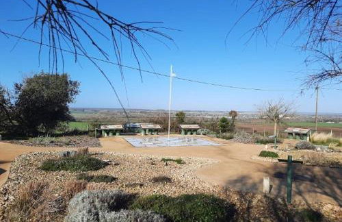 Les Folies d 'Oscar - Foto 18