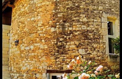 La tour du logis - Foto 19