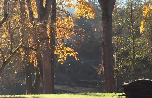 DunMovin’ Oregon - Foto 35