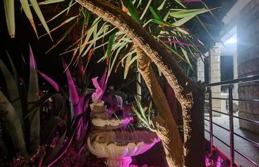 Apartments Ranko - Foto 10