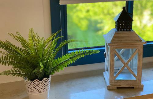 Familienfreundliches Reetdachhaus Weissdorn 2 - Foto 28