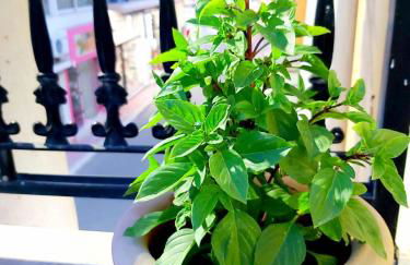 SITIA CITY CENTER luxury apartment - Foto 55