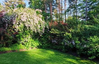 Waldidylle - Foto 13