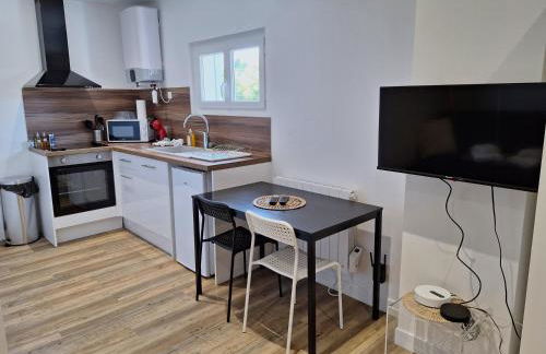 Studio lumineux 2 pers Olivet Avenue Loiret - Photo 1