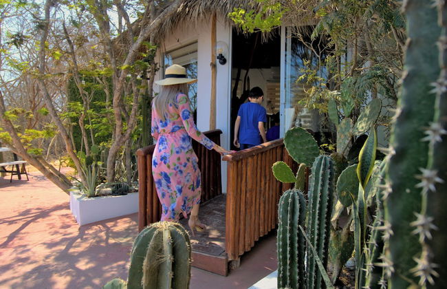 Palm Valley Cabins - Foto 13