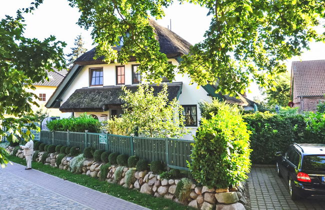 Strandflieder - Foto 5