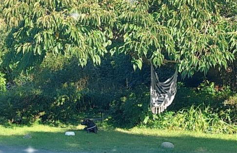 The Cosy Pad Glan Y Morfa Bach - Foto 14