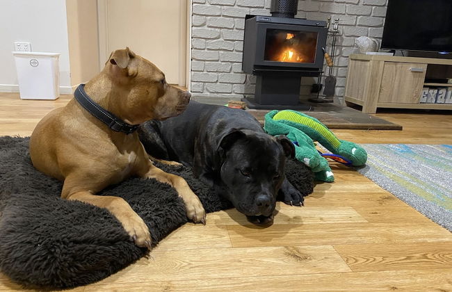 90 Mile Beach House & Villas - Foto 1