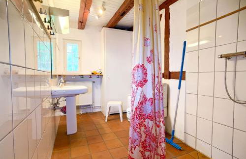 Reetdachkate - Foto 10