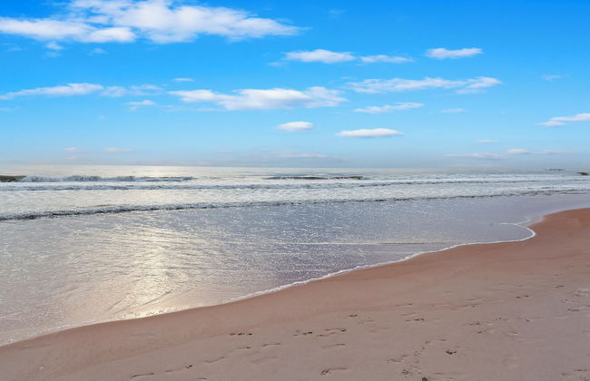 Royal Floridian Resort - Foto 72