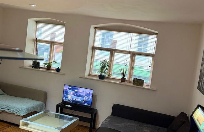 1br-wifi-freesnacks-freeparking-petsok-retroarcade - Photo 6