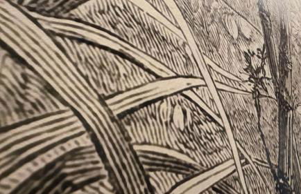 Cabril's Hills Luxe Suites - Foto 61