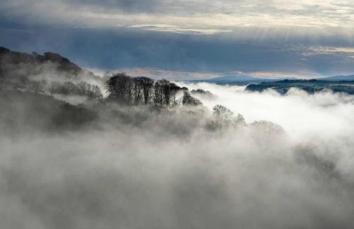 Swan Landing - Photo 31