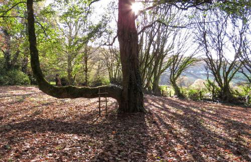 The Annexe Lurley Manor - Foto 37