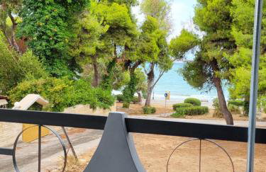 Dilion Guest House - Foto 41