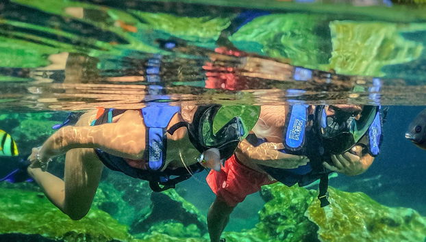 Xel-Há Natural Park Day Trip - Foto 5