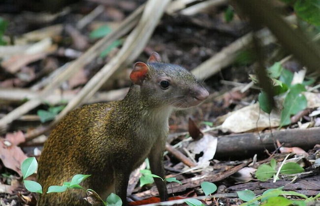 Destino Hotel & Hot Spring - Foto 43