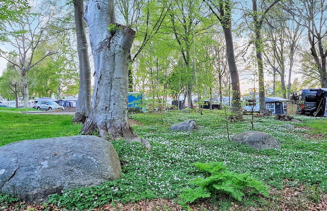 7 Person Holiday Home in Solvesborg-by Traum - Photo 15