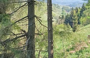 Chatka na Przełęczy - Foto 26