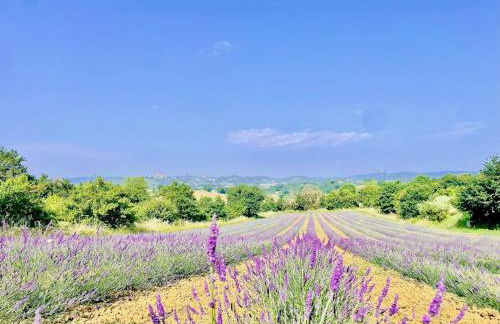 Apartment La Sera - Agriturismo CasaViVa - Foto 38