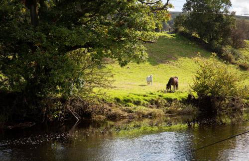 Felin Gogoyan - Photo 33
