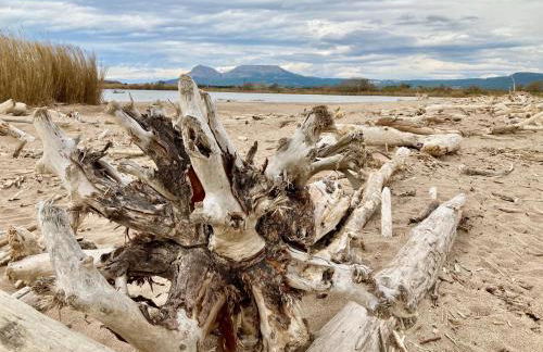 Estartit Delta 4C - Foto 35