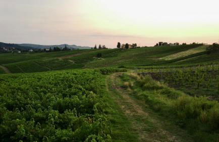 Capricornio Club diffuso Casa Carlotta - Foto 42