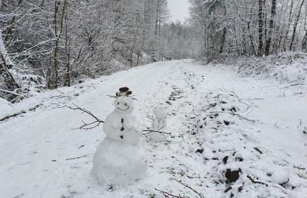 Am Wäldchen - Foto 21