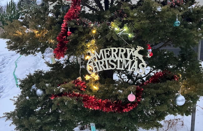 private Lodging KASE Gosyogawara - Foto 53