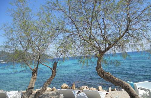 Finca Son Blat - Photo 50