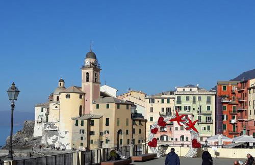 La Fernandina - Foto 39