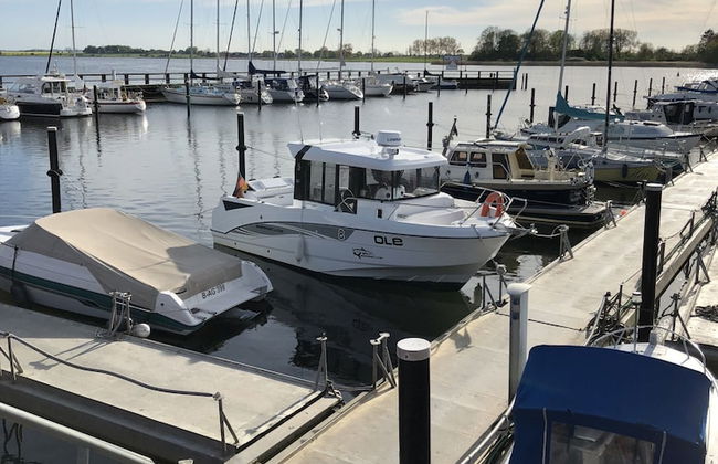 Ostseekrabbe - Foto 25