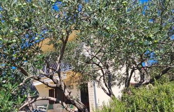 Vila Propuh Primošten - Foto 27