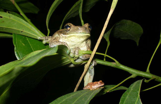 2, 3 or 4-Day Tres Chimbadas Lake Tour - Photo 6