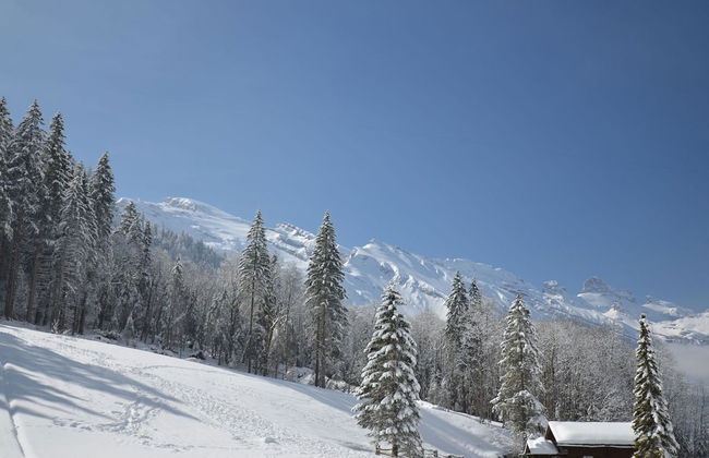 Chalet Heureka-Horbis - Foto 24