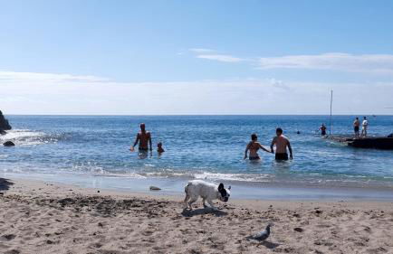 Apartment-Deluxe Victory South Tenerife - Foto 22