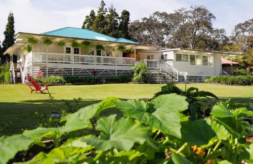 Aloha Junction Bed and Breakfast -Minutes away from Hawaii Volcanoes National Park - Foto 1