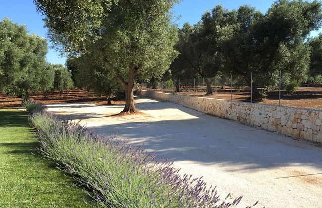 Villa Bijou - Foto 42