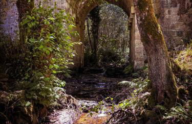 EL VIEJO MOLINO - Foto 16