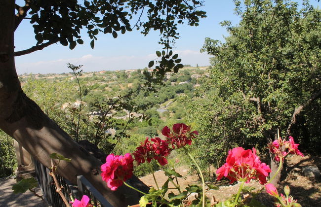 Terrazza sul Parco - Foto 11