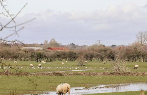 Lilyrose Cottage - Foto 29