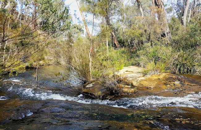 Maya Sanctuary - Foto 73