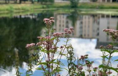 EUROPA22 Apartament z JACUZZI w samym sercu miasta Tomaszów Maz - balkon z widokiem na park i fontanny Szybkie zameldowanie od 13 - Foto 20