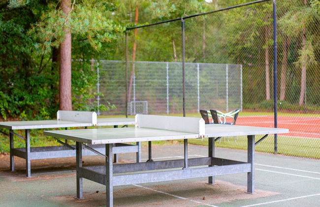 Cottage With Garden at Utrechtse Heuvelrug - Photo 11