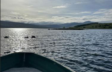 Overscaig House - Foto 65