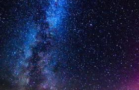 The Coorie - Foto 22