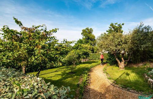 Le Clos des Eucalyptus - Foto 52