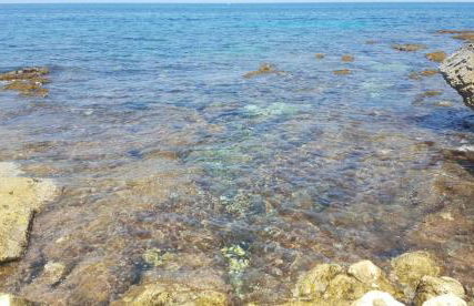 CASA CAVORA - Villa Petunie - Foto 32